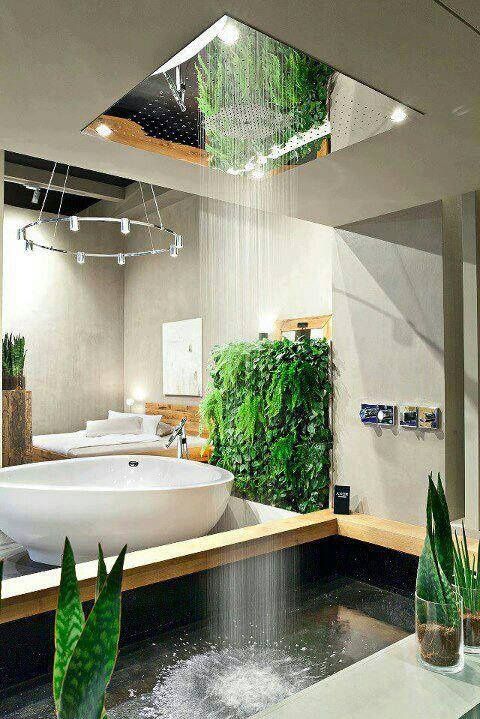 Bathroom with rain shower natural light ceiling