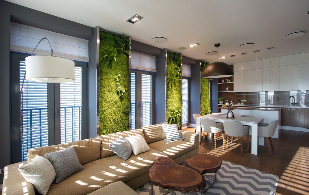 Natural Light Living Room Design Ideas