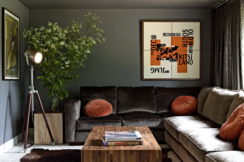 dark color sofa for living room