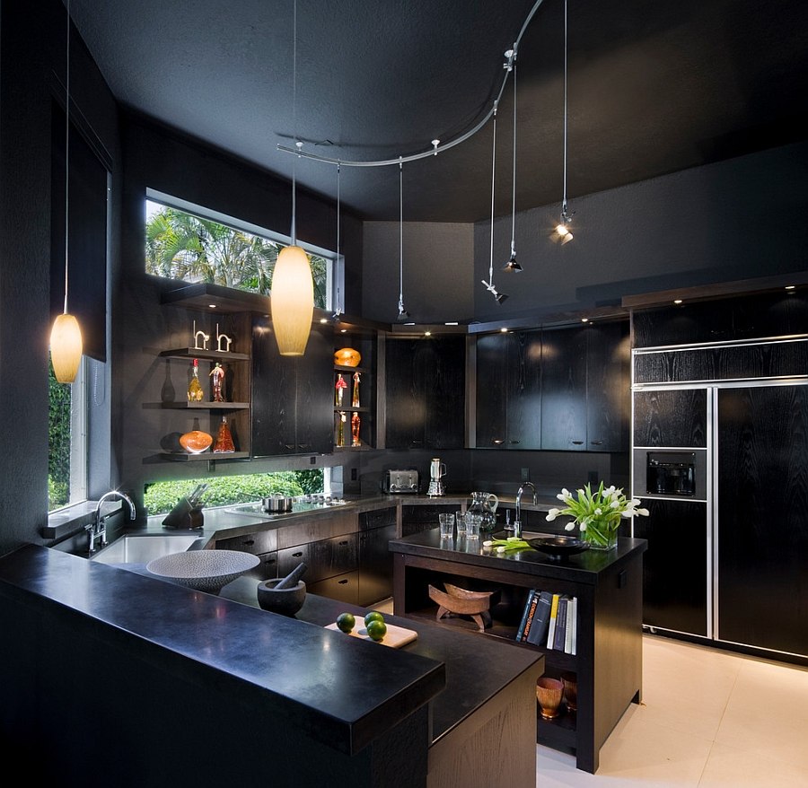 Gorgeous contemporary kitchen for those who love black