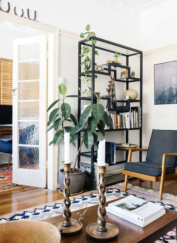 living room plant and bookshelves decor 