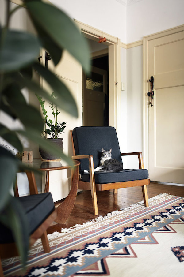 A Brisbane 1920s inspired home pets on furniture