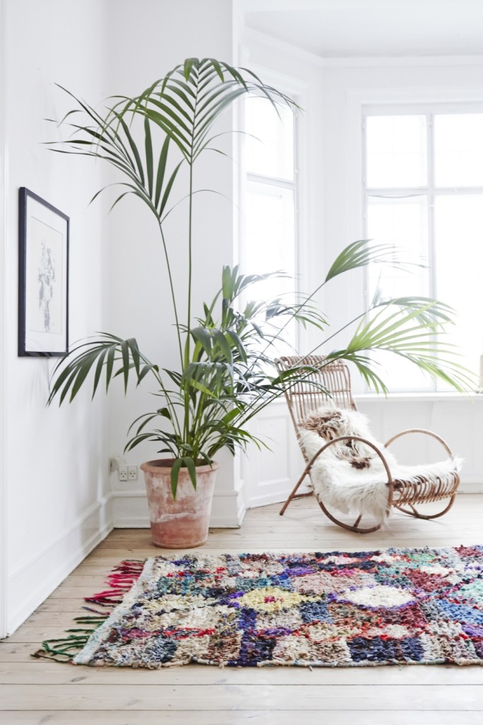 Large Plants Decor Next to the Chair