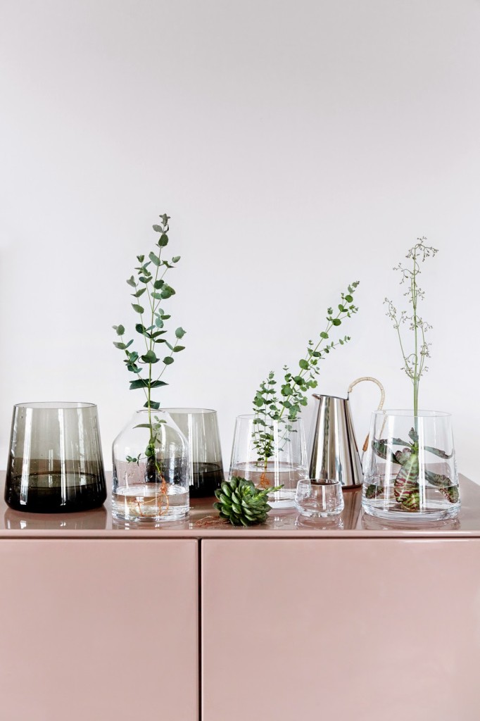 Scandinavian Interior Home Decor With Plants