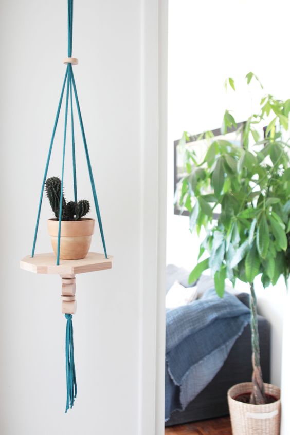 Single Hanging Plant