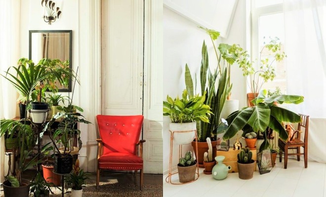 7 different way to indoor plants decoration ideas in living room