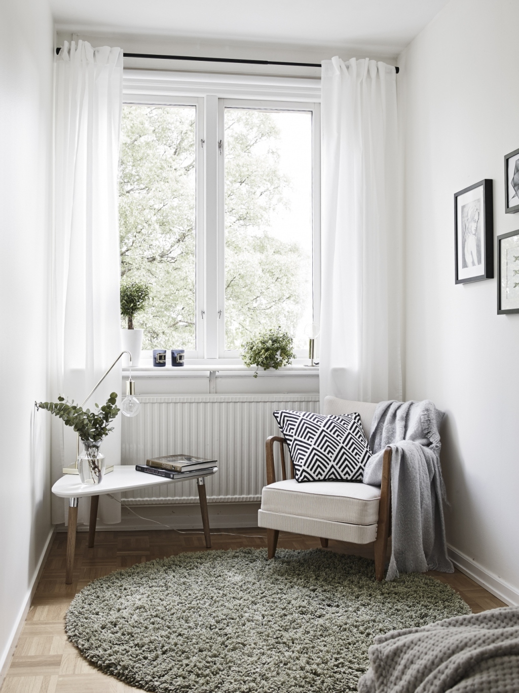 Plants Decor on Coffe Table on Living Room Rug