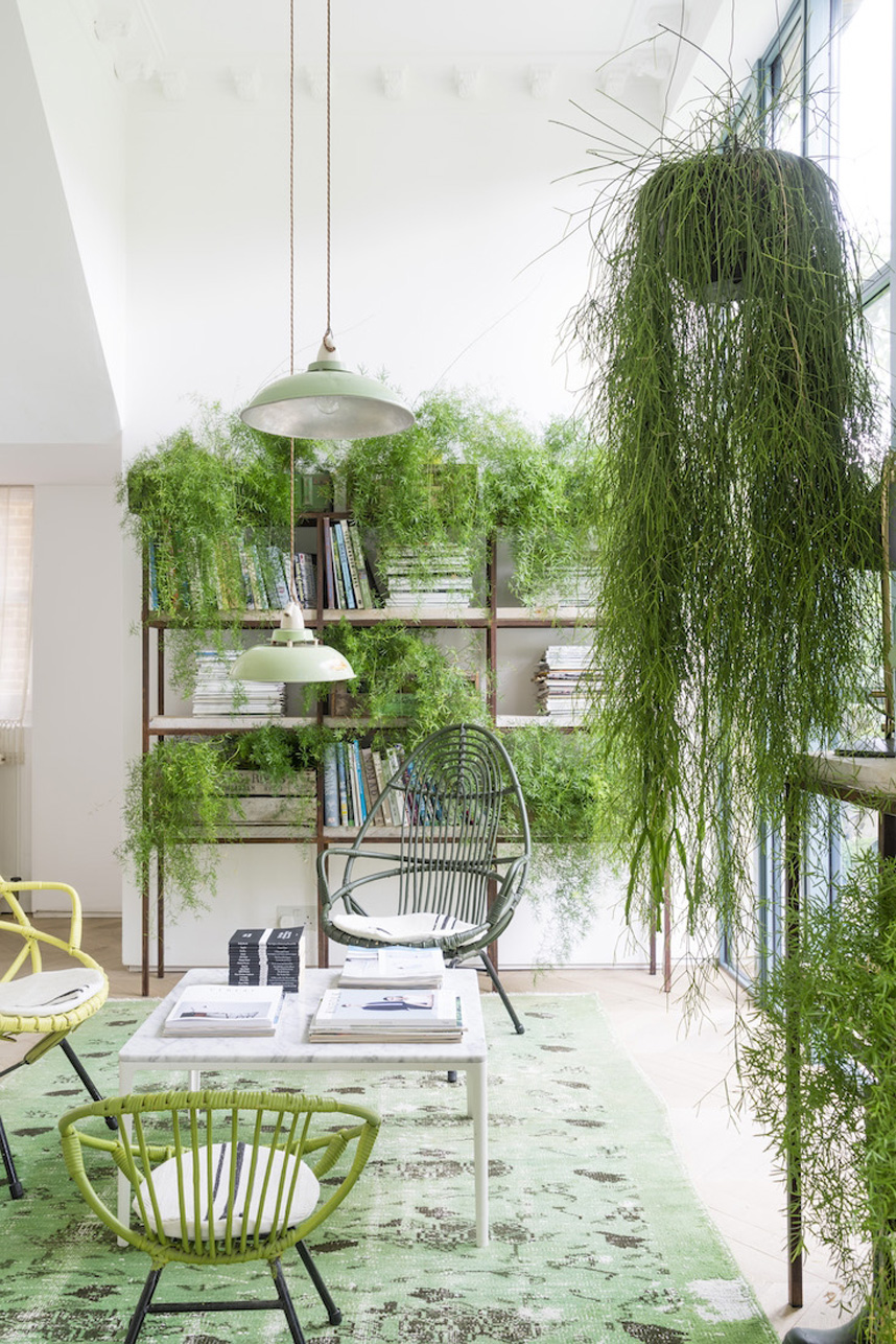 green plant home decor
