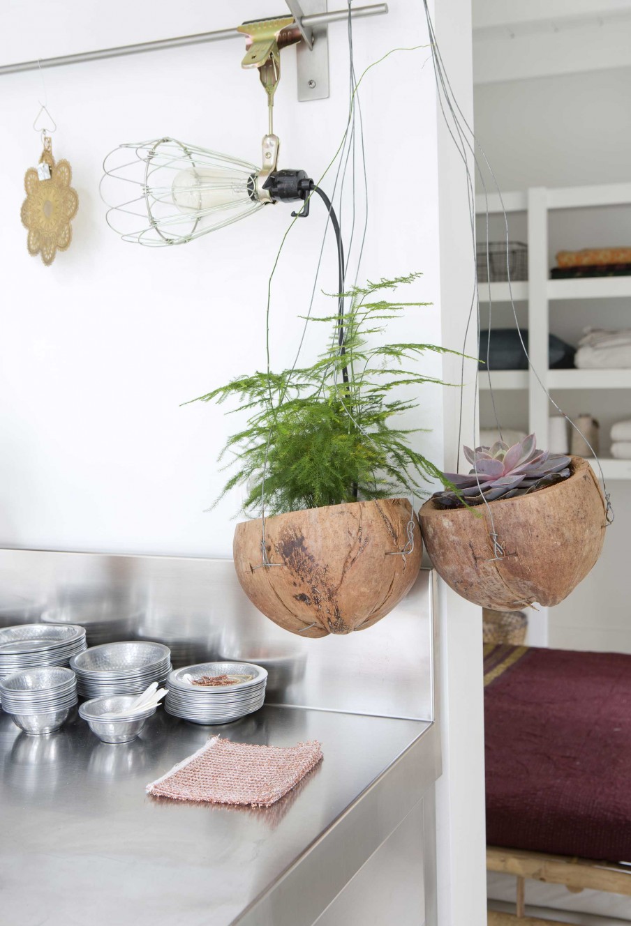 hanging plants in kitchen