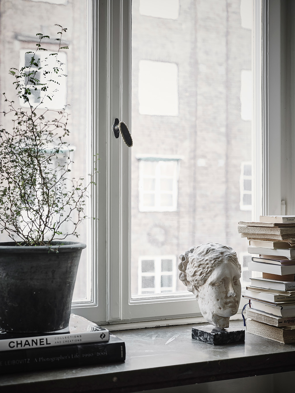 window decoration with plant and books