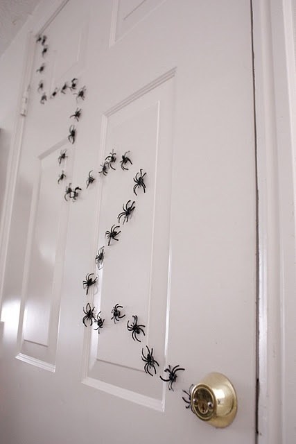 DIY your own spider trail with plastic spider rings