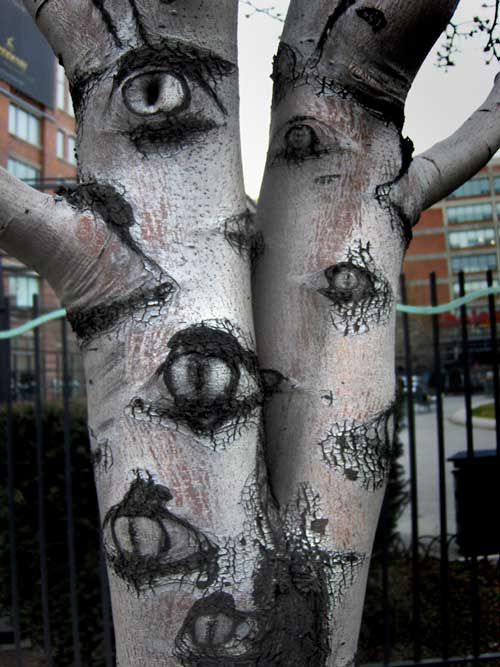 Eyes Tree halloween