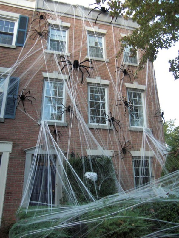 spiders snakes and bats for halloween decor