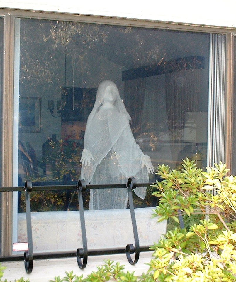Ghost in Window Halloween Prop