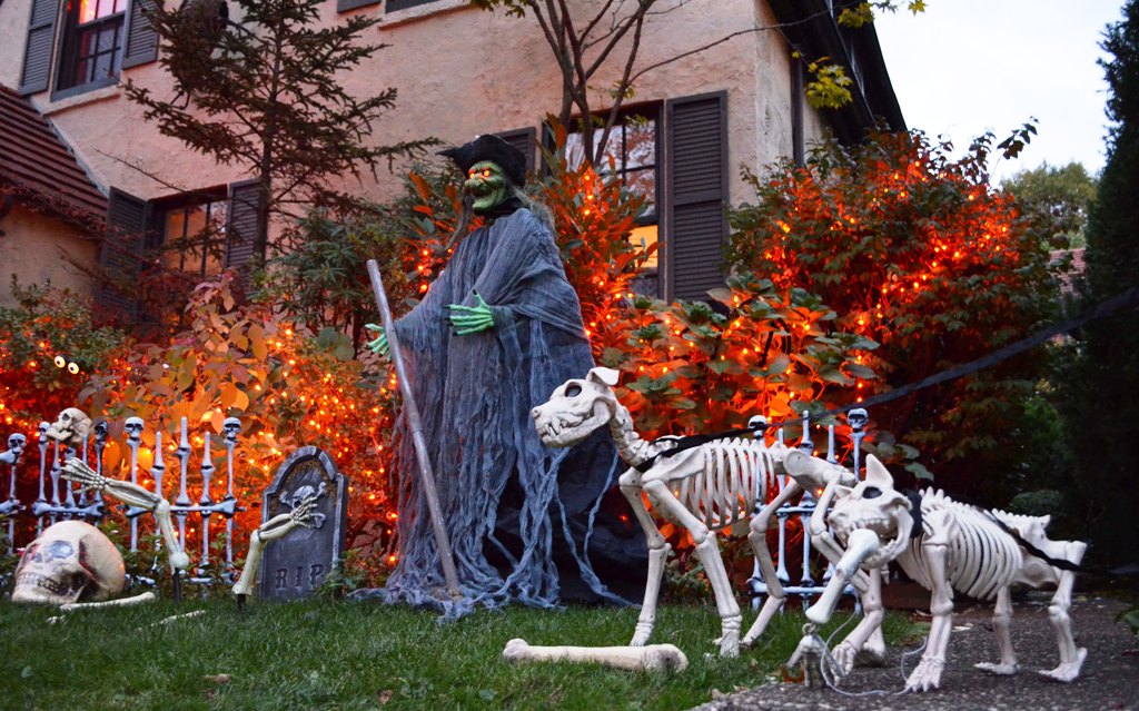 Halloween dog skeleton decorations