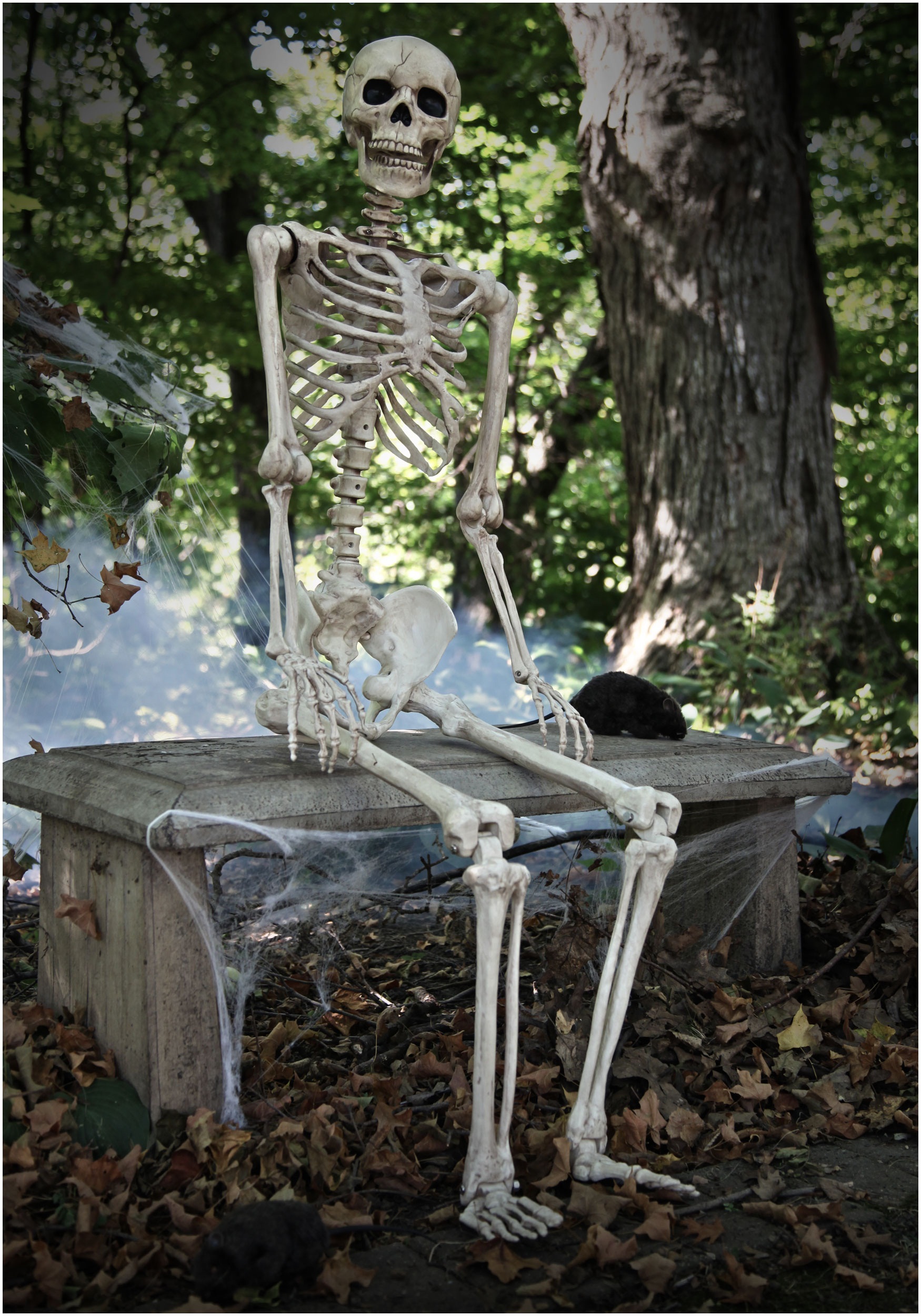 Halloween skeleton Decorations