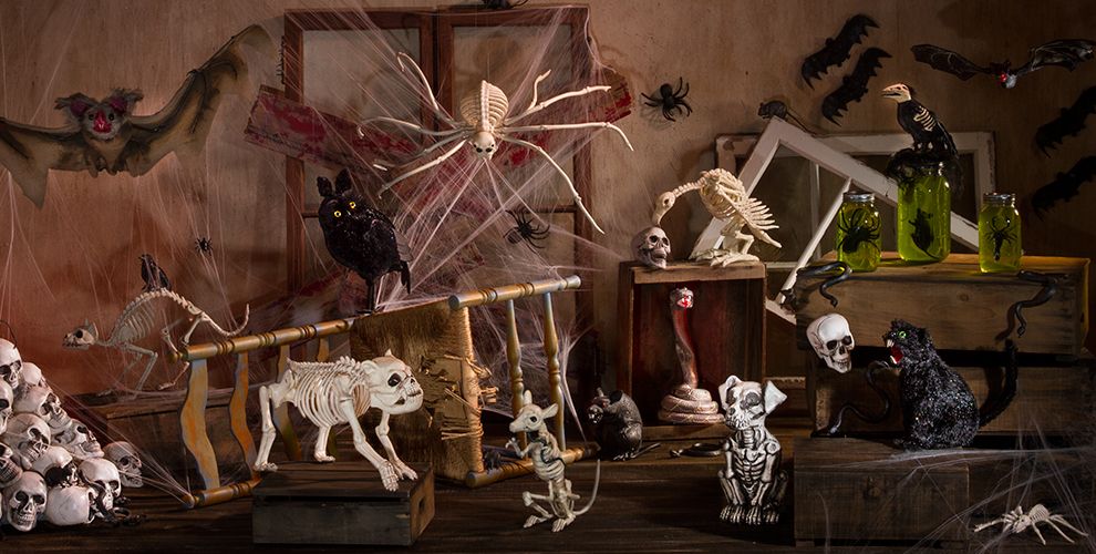 Indoor Halloween Skeleton Decorations