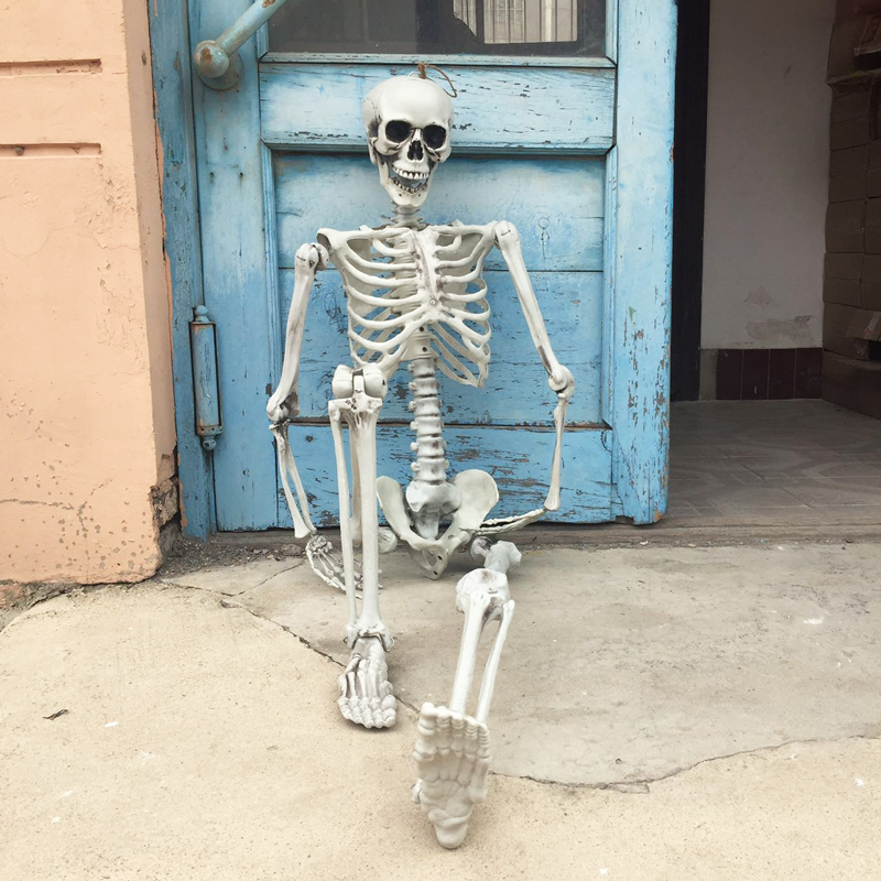 Plastic Halloween Skeleton Decorations Holiday Props Haunted house skull