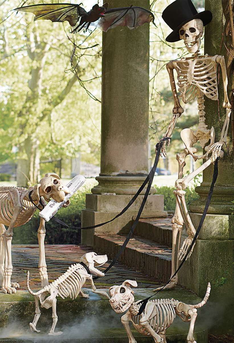 Skeleton Scene
