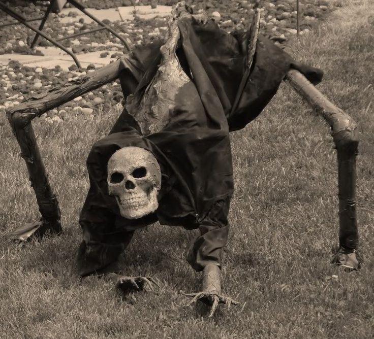 Spooky Skeleton decor