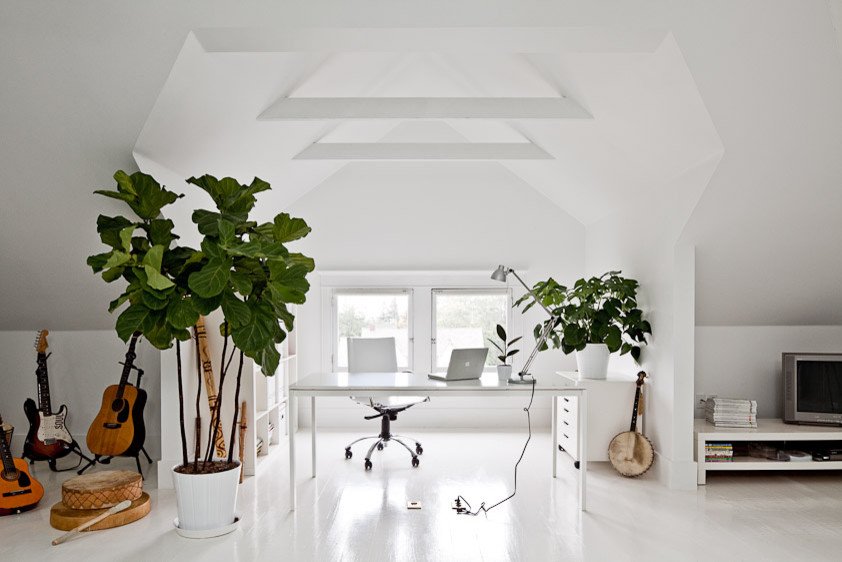 contemporary home office decoration with plants