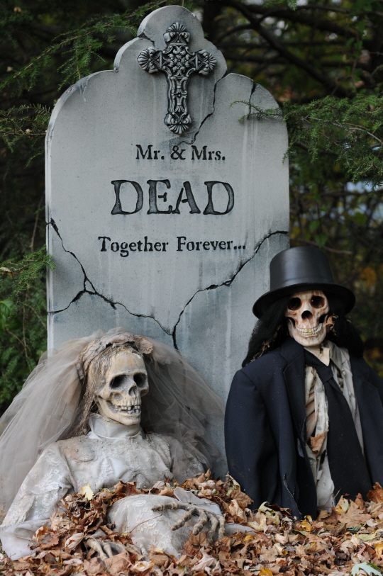 halloween yard decorations skeleton