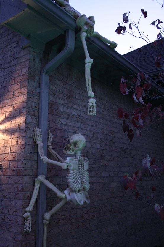 outdoor halloween decorations skeleton