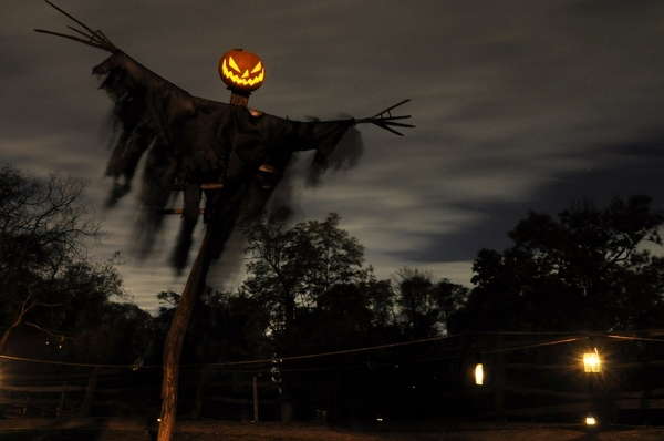 scary halloween decorations front yard decor ideas