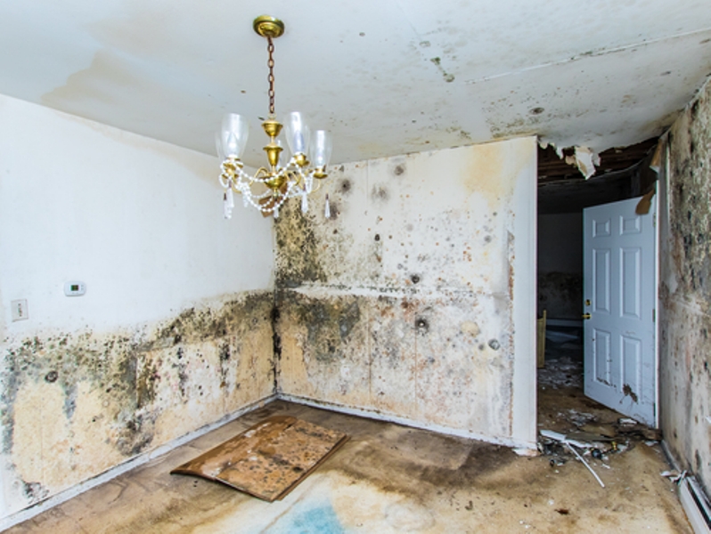How long will it take to restore your property