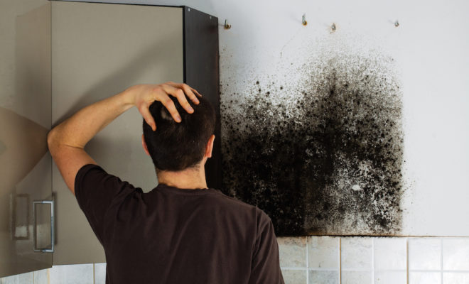 How To Remove Mold From Wood Drywall Remediation Tips How To Remove Mold From Wood Drywall Remediation Tips