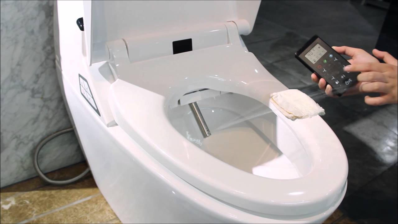 The Features of Smart Toilets