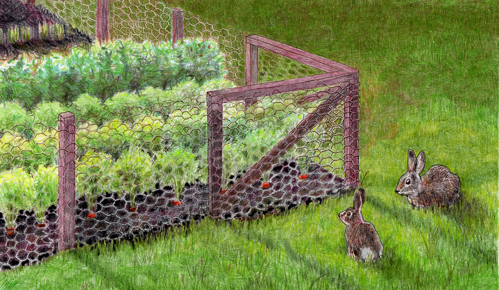 Blocking Wildlife Access to your Garden by Fencing