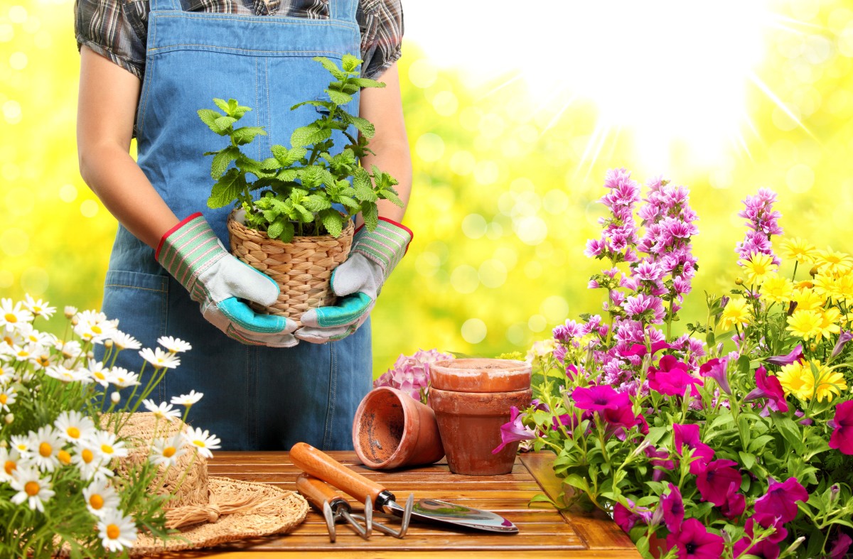 Doing Garden Work Personally or Hiring Experts