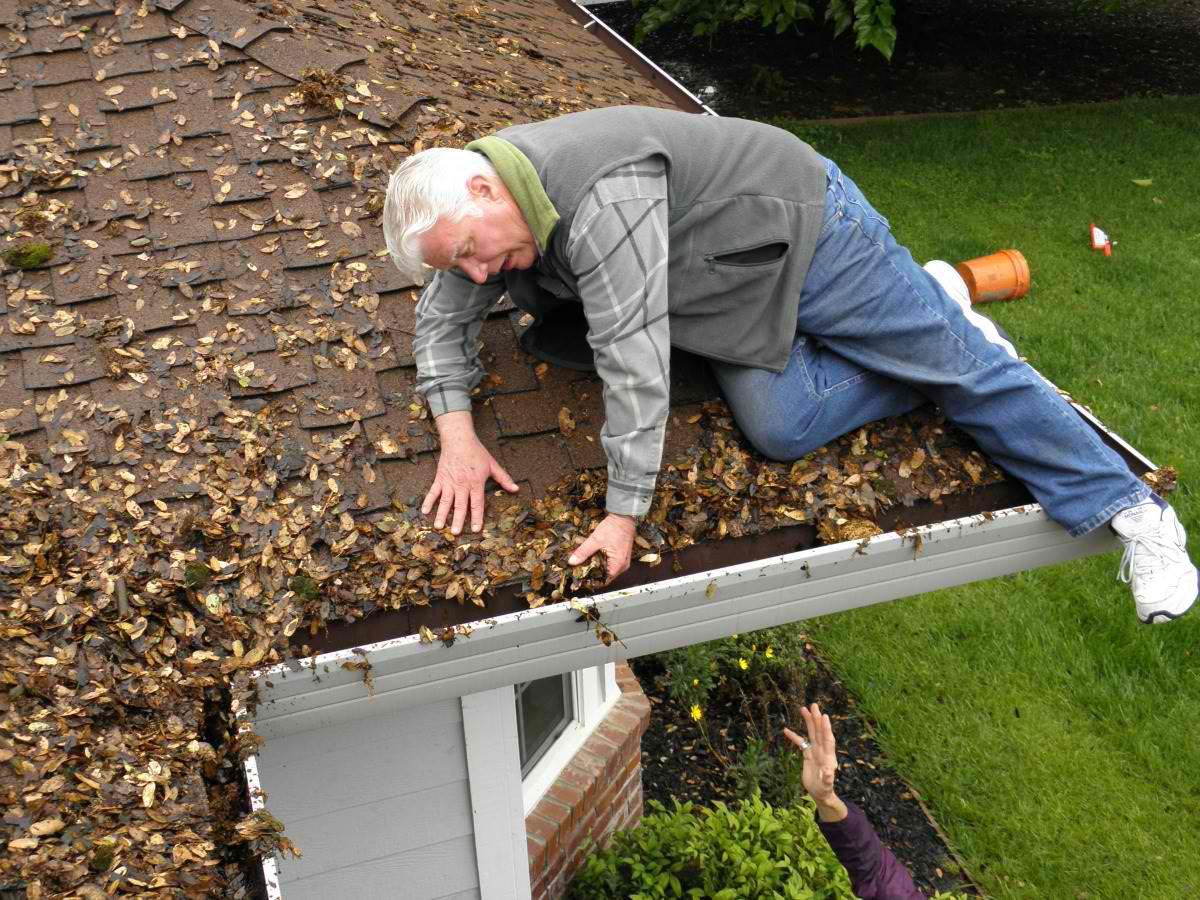 Find a company specializing in gutter cleaning