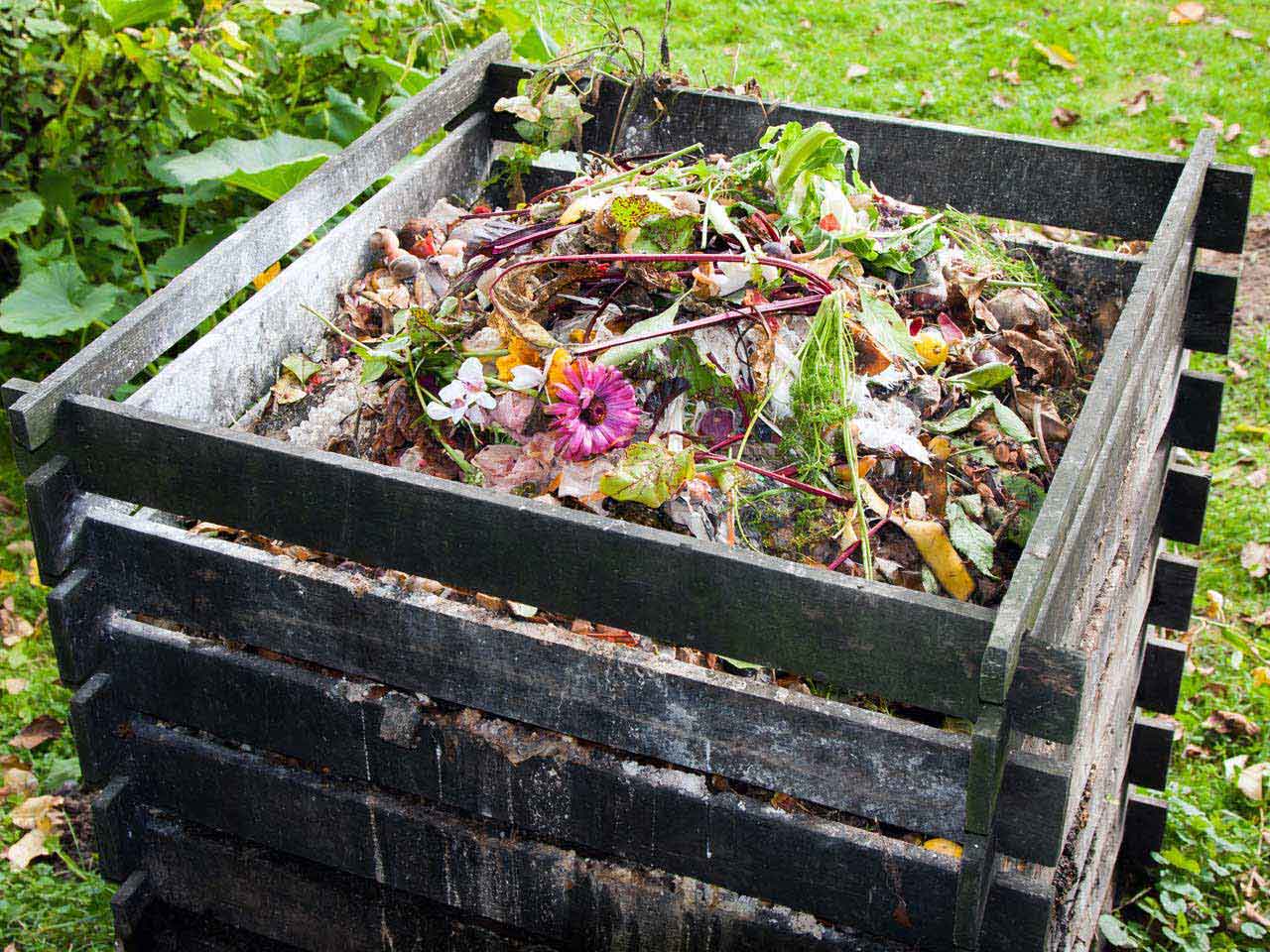 Make Compost