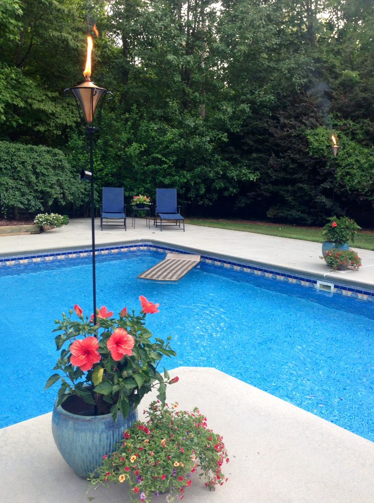 Plants and the decoration of pool surrounding