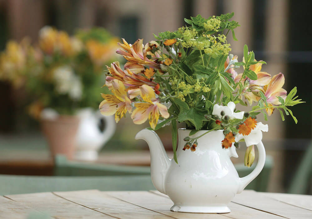 Put Cut Flowers or Potted Plants on the Dining Table