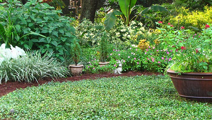 Treating Grass and Garden Plants Equally