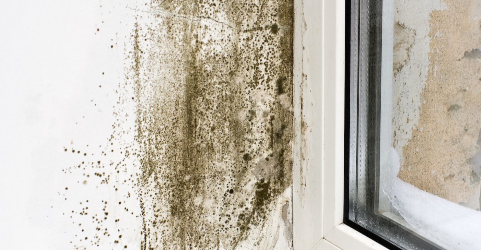 Causes of mold and damp
