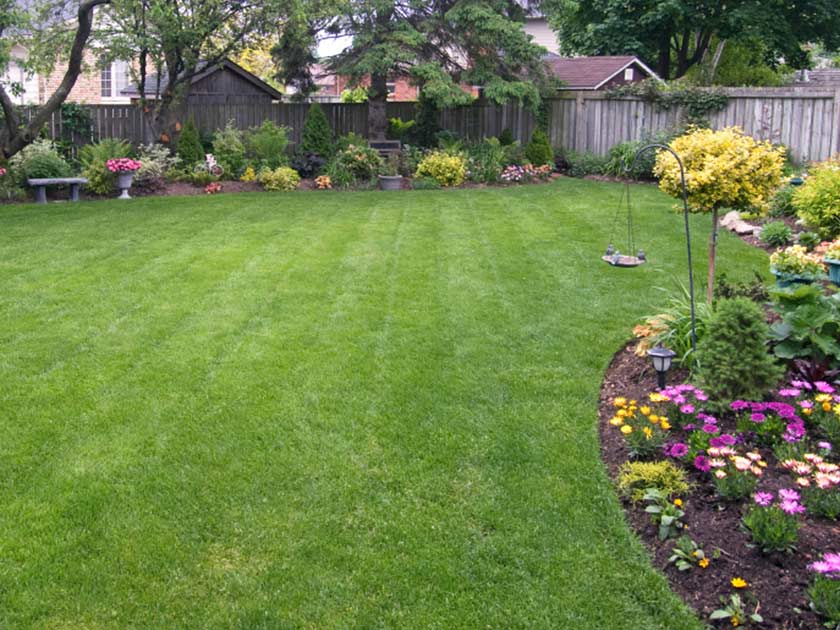 Spruce Up Your Lawn