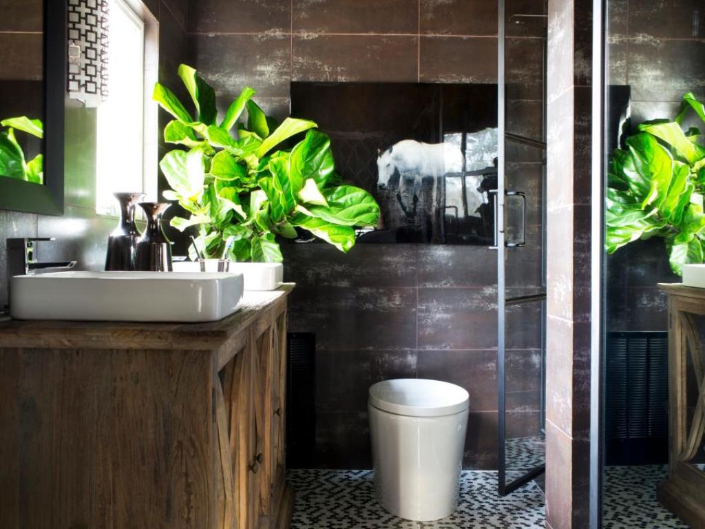 How should you care for your bathroom plants