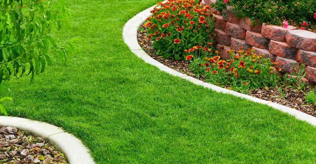 Get your lawn and garden into shape