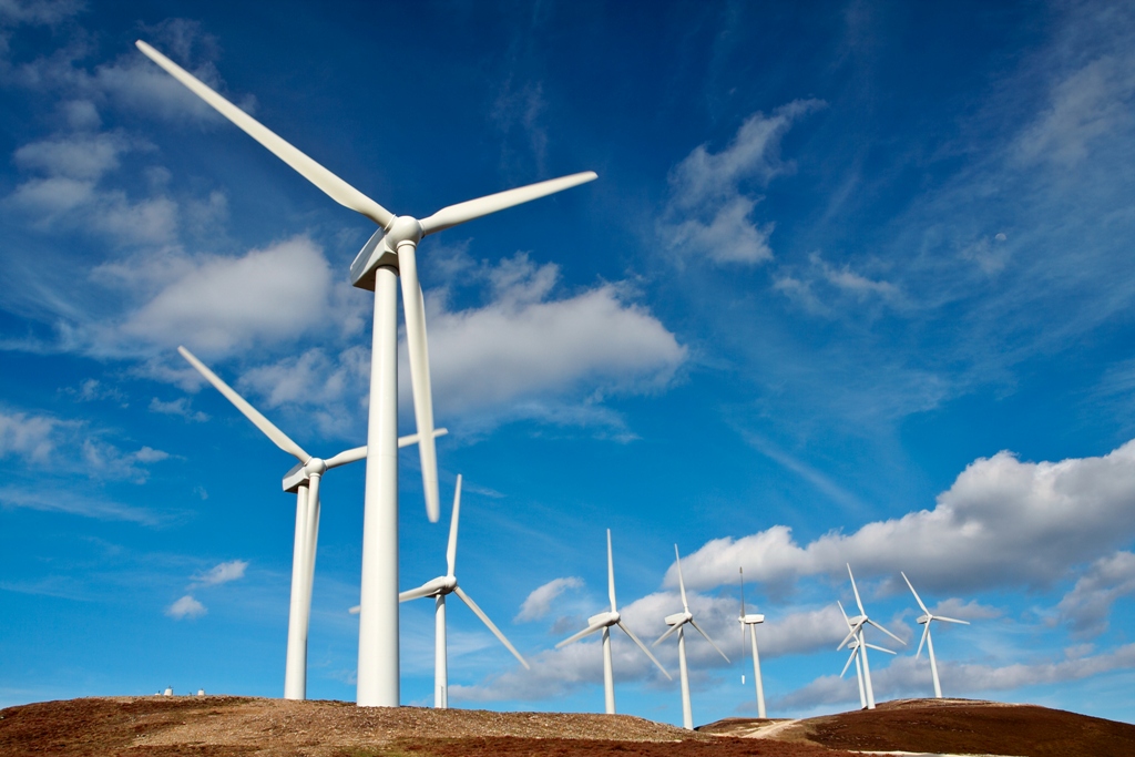 Wind farm and individual wind turbine
