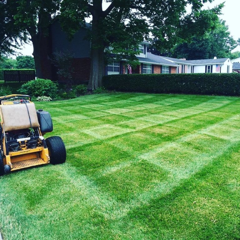 Advantages of Sodding Your Lawn