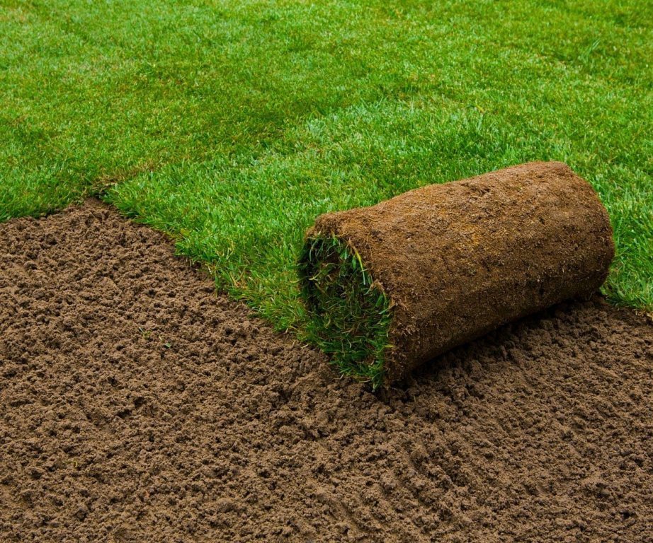 Maintaining Your Sod