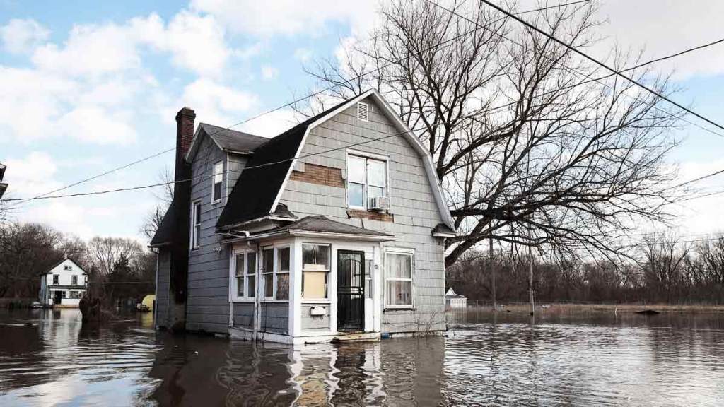 Private Market Flood Insurance