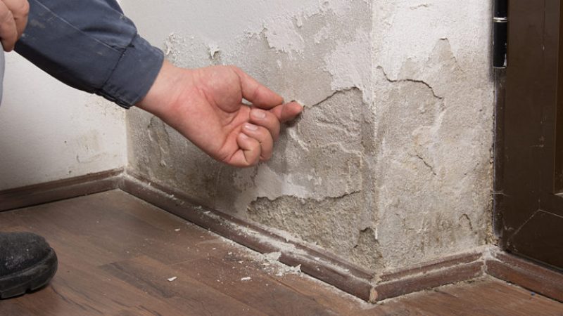 What Is Rising Damp
