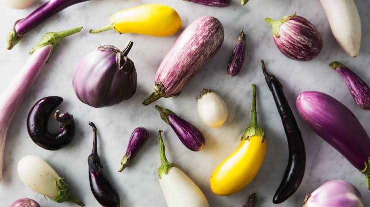 What type of eggplant to choose