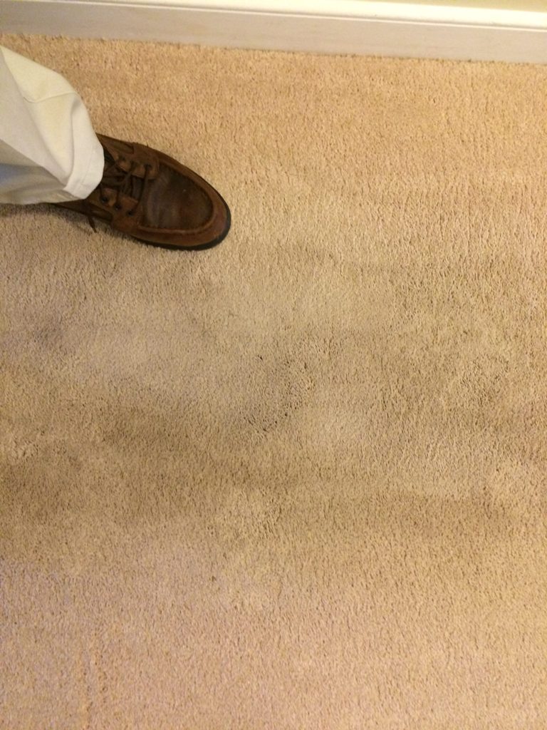 Your Carpet Looks Worn Down