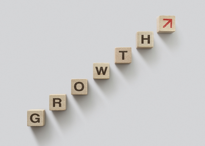 Growing Your Business1